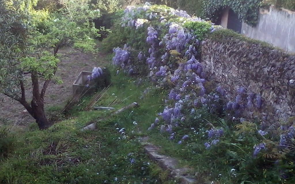 B&B Costa Lupara - Villa Murchio Alassio Dış mekan fotoğraf