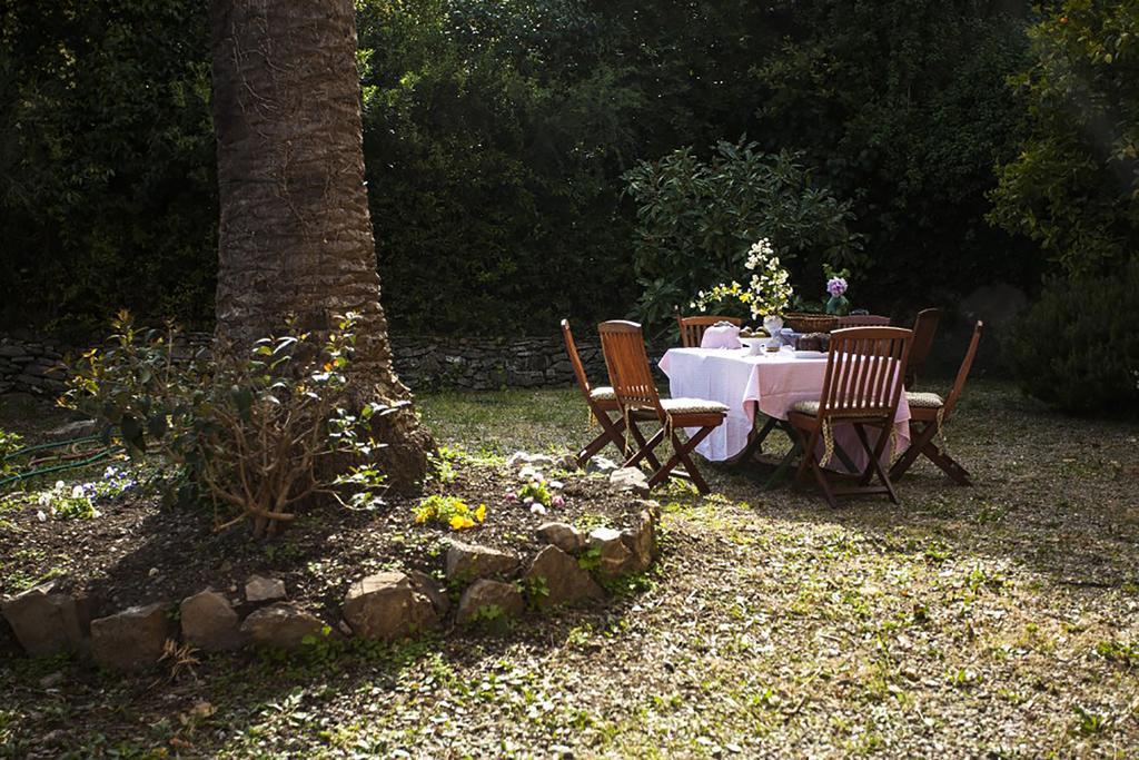 B&B Costa Lupara - Villa Murchio Alassio Dış mekan fotoğraf