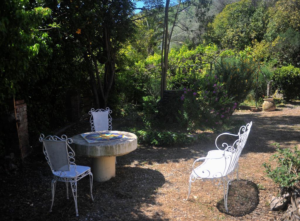 B&B Costa Lupara - Villa Murchio Alassio Dış mekan fotoğraf